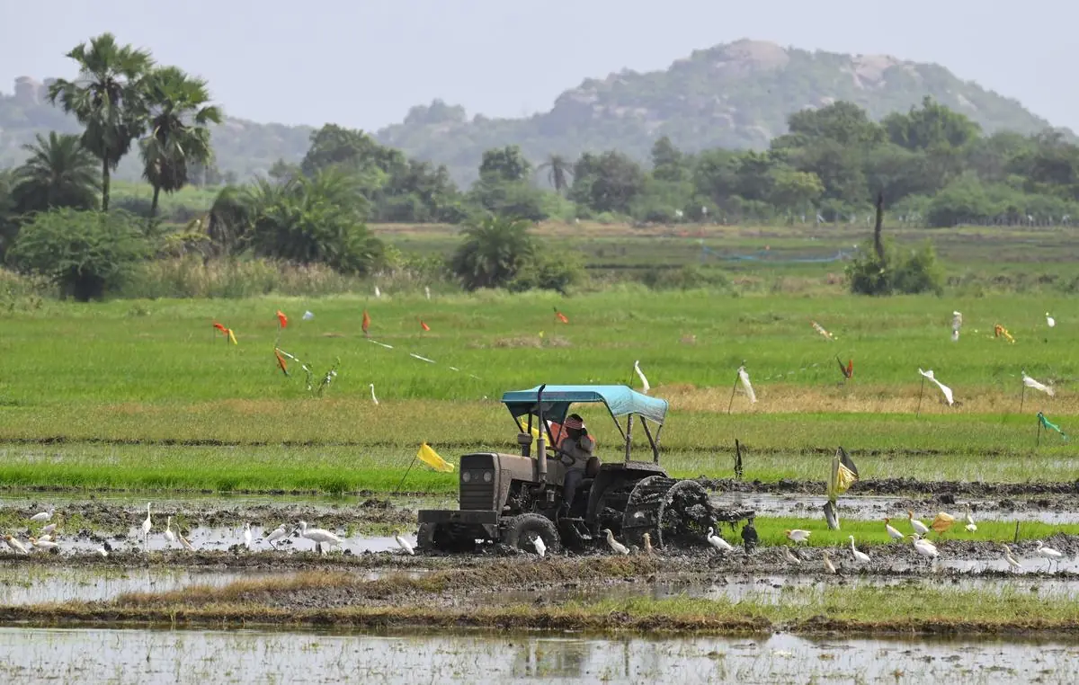 Tractor, tiller and harvester on a plowed field