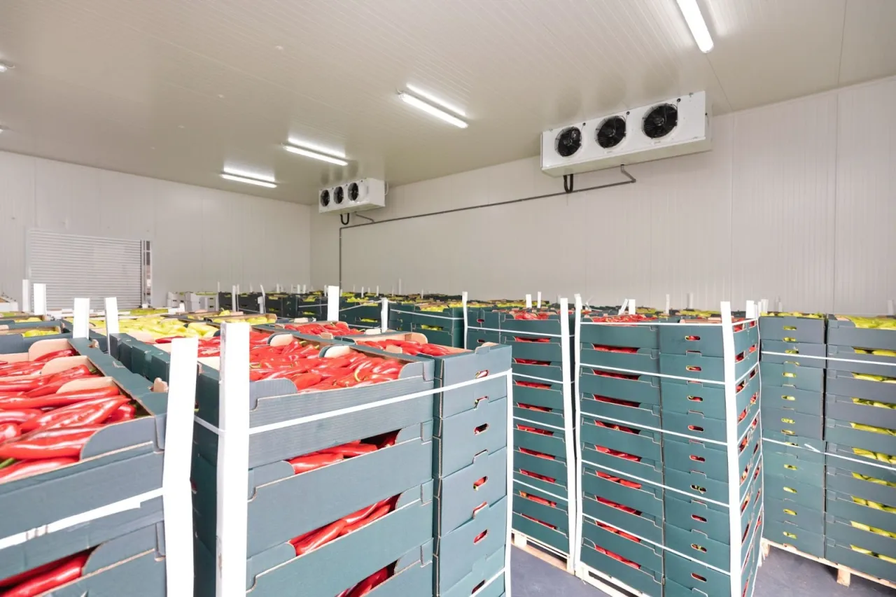 Crates of red and yellow peppers stacked in a cold storage room
