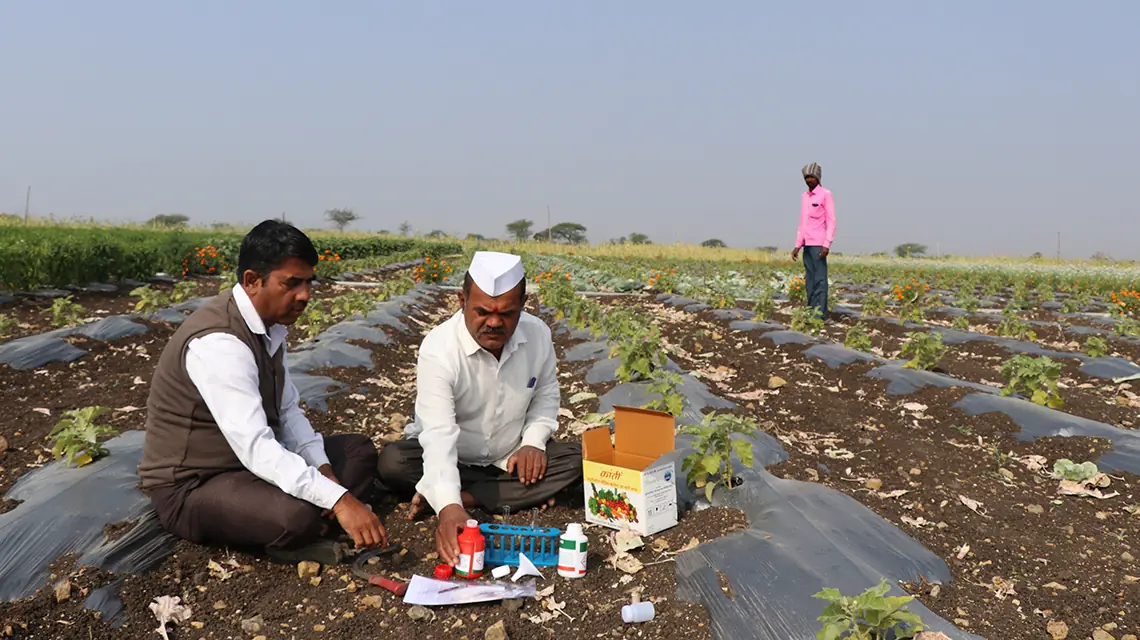 Soil testing being performed in a farm field